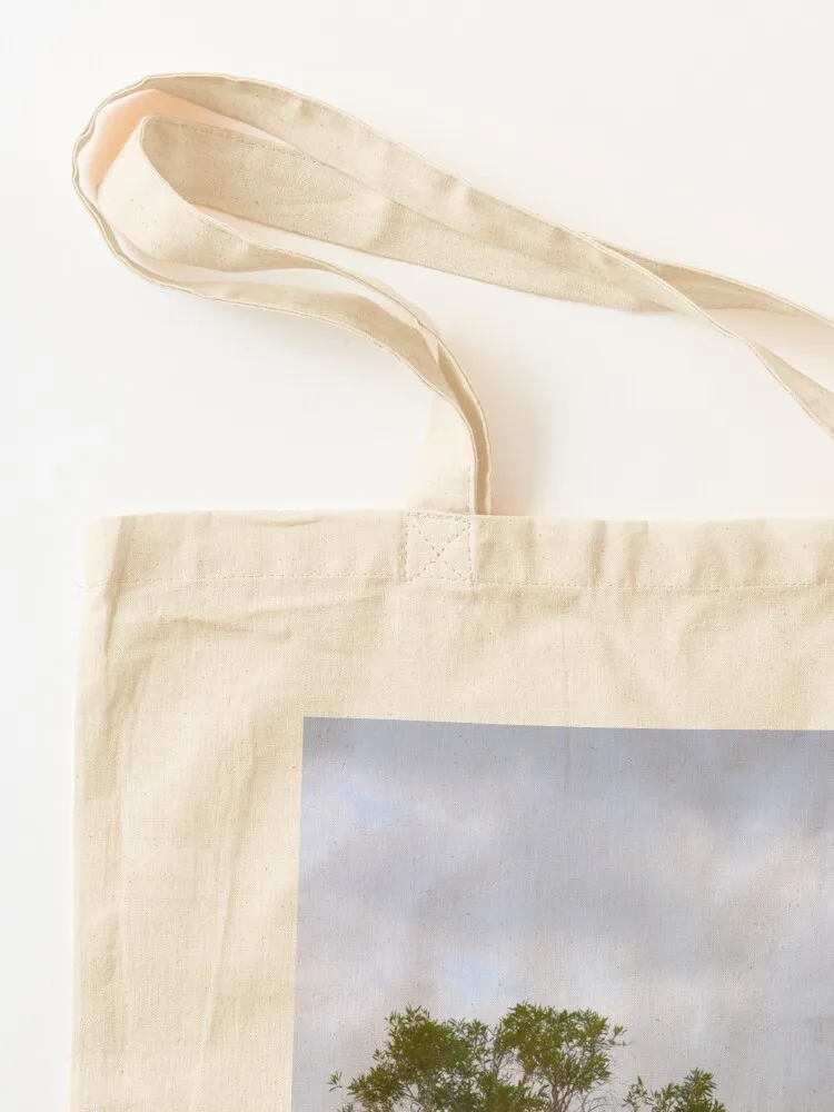 Drzewo nad jeziorem Mackenzie, – Women Bags Australia recenzja i cena